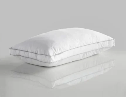 Oreiller micro fibre Algérie